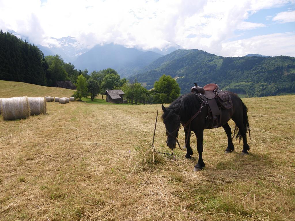 Gite Le Cerf De Belledonne Sainte-Agnès Esterno foto