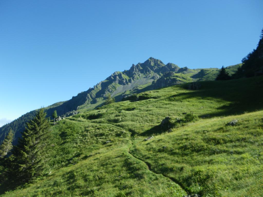 Gite Le Cerf De Belledonne Sainte-Agnès Esterno foto