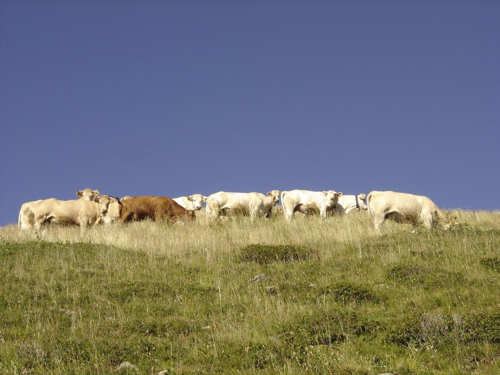 Gite Le Cerf De Belledonne Sainte-Agnès Esterno foto