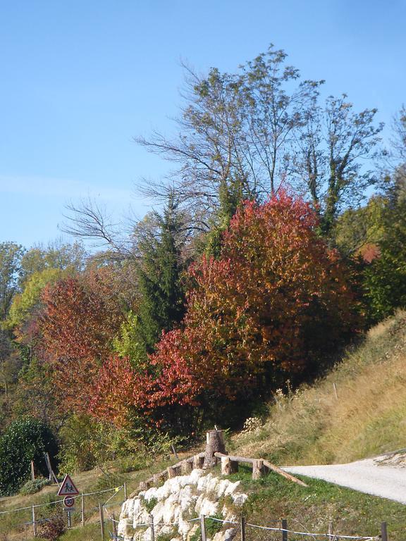 Gite Le Cerf De Belledonne Sainte-Agnès Esterno foto