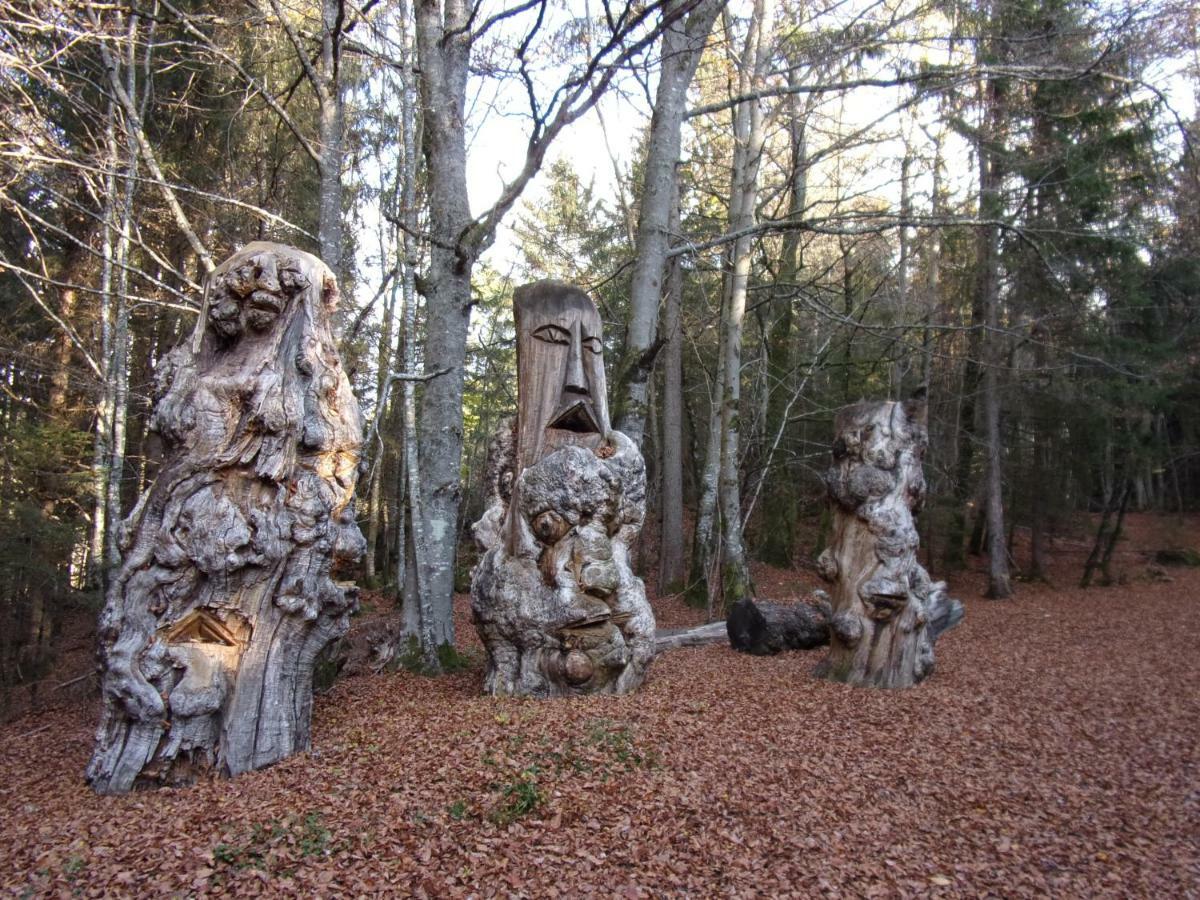 Gite Le Cerf De Belledonne Sainte-Agnès Esterno foto